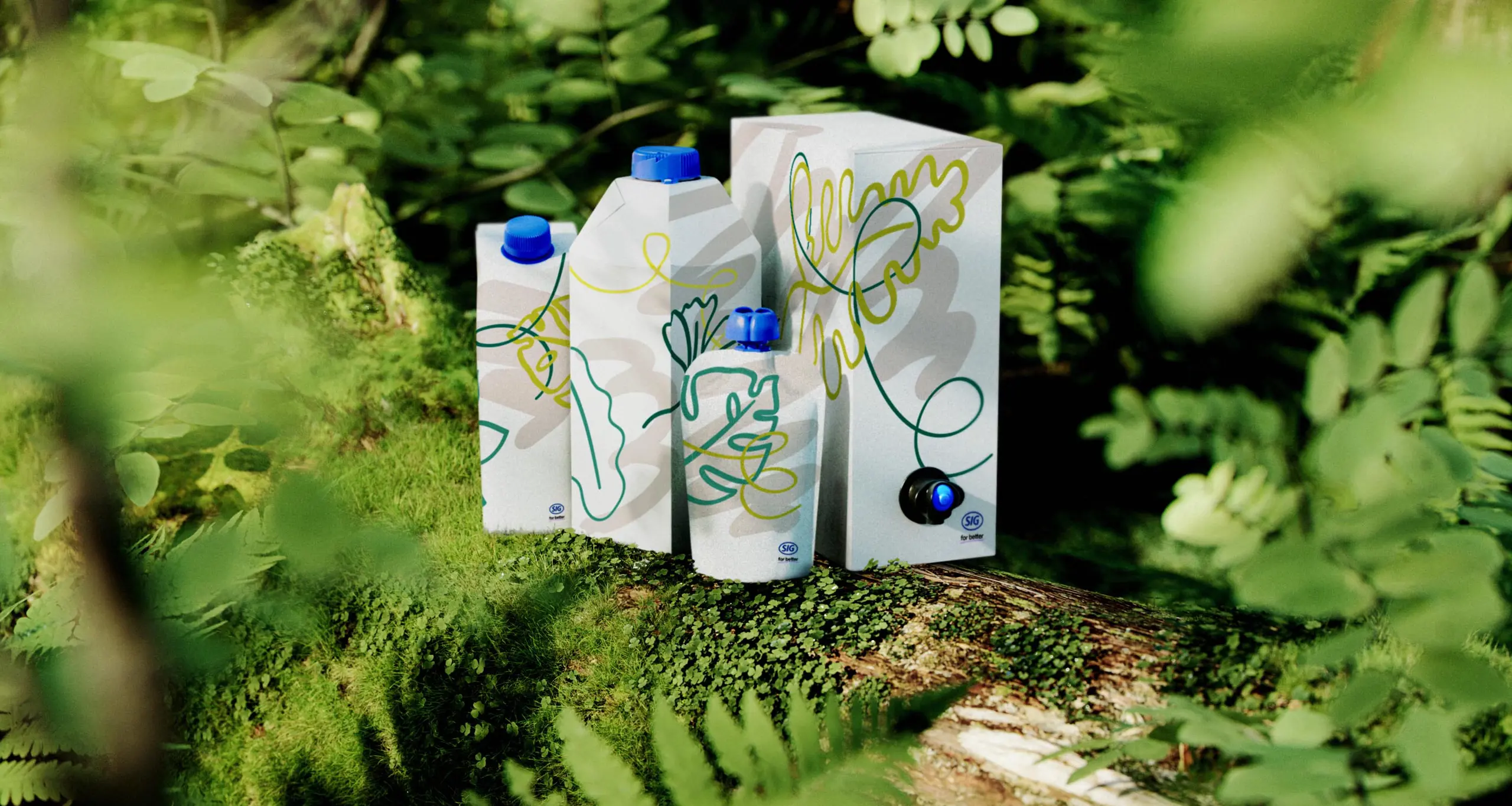 SIG sustainable packaging solutions: aseptic carton, bag-in-box, and spouted pouch