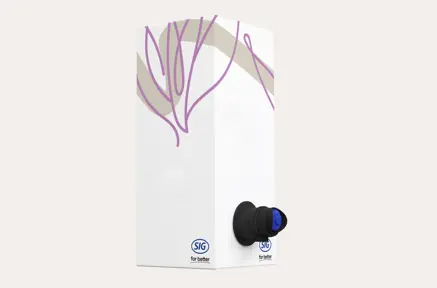 Bag-in-box